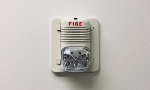 jalen-hueser-OLSy8_770lw-unsplash (1)